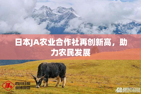 日本JA农业合作社再创新高，助力农民发展