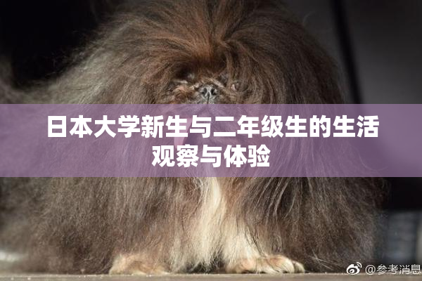 日本大学新生与二年级生的生活观察与体验