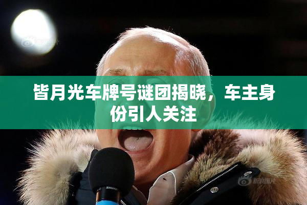 皆月光车牌号谜团揭晓，车主身份引人关注