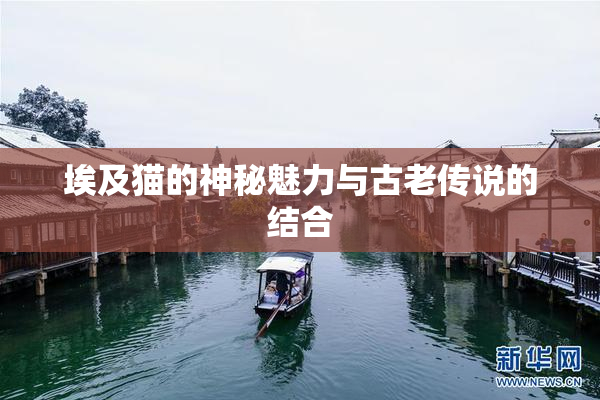 埃及猫的神秘魅力与古老传说的结合
