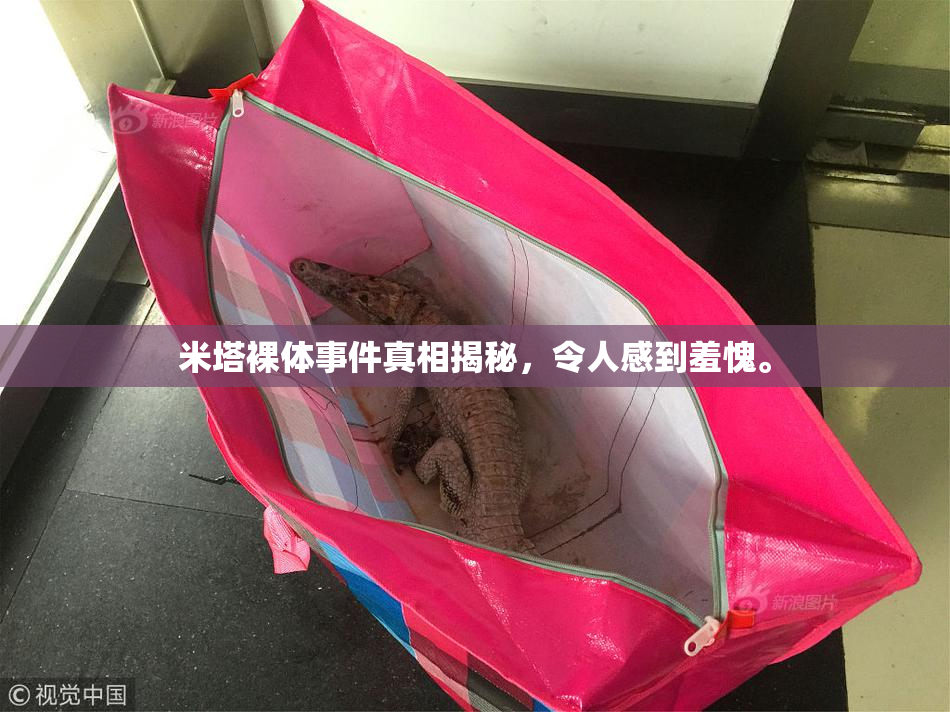 米塔裸体事件真相揭秘，令人感到羞愧。