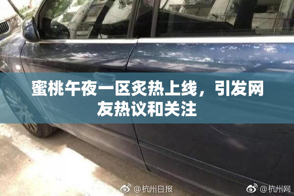 蜜桃午夜一区炙热上线，引发网友热议和关注