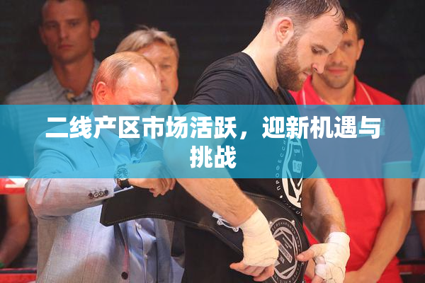二线产区市场活跃，迎新机遇与挑战
