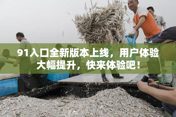91入口全新版本上线，用户体验大幅提升，快来体验吧！