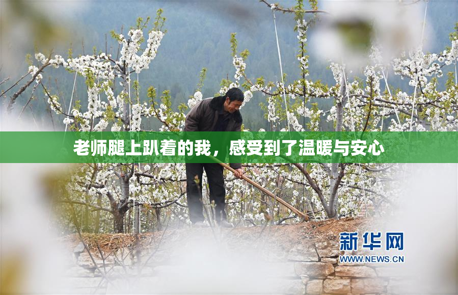 老师腿上趴着的我，感受到了温暖与安心