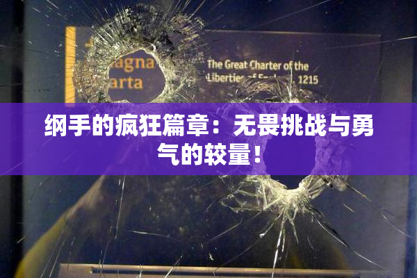 纲手的疯狂篇章：无畏挑战与勇气的较量！