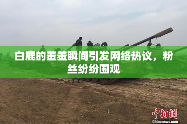 白鹿的羞羞瞬间引发网络热议，粉丝纷纷围观