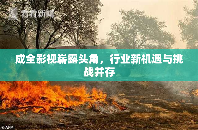 成全影视崭露头角，行业新机遇与挑战并存