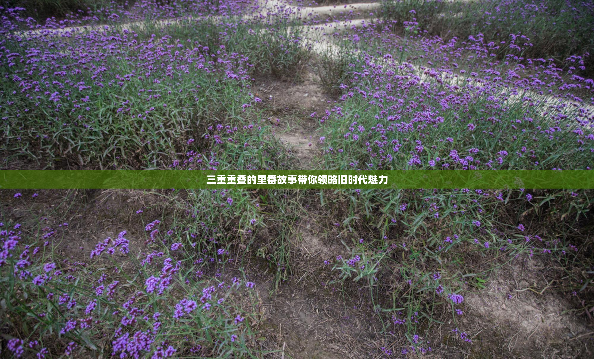 三重重叠的里番故事带你领略旧时代魅力