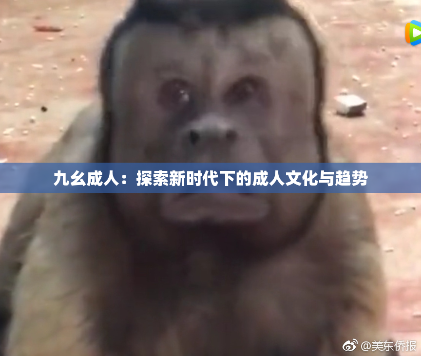 九幺成人：探索新时代下的成人文化与趋势