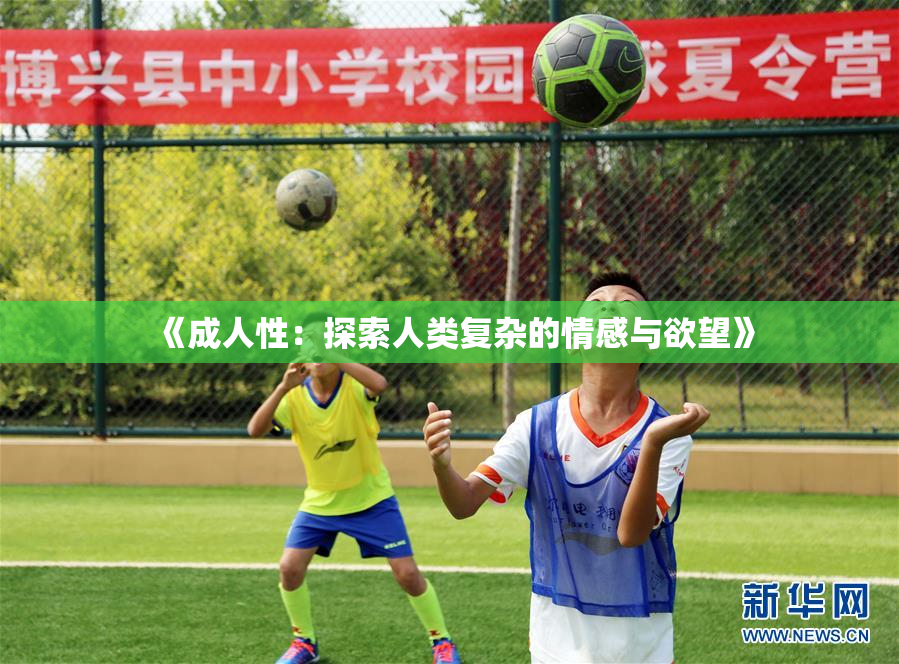 《成人性：探索人类复杂的情感与欲望》