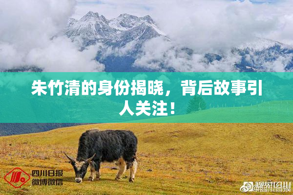 朱竹清的身份揭晓，背后故事引人关注！