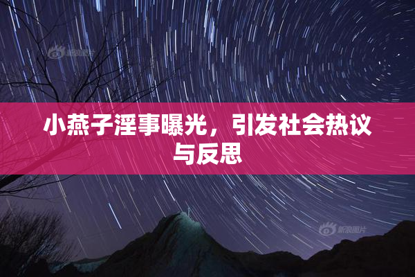 小燕子淫事曝光，引发社会热议与反思
