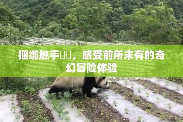 捆绑触手❌‌，感受前所未有的奇幻冒险体验