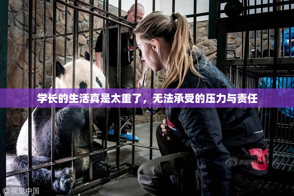 学长的生活真是太重了，无法承受的压力与责任