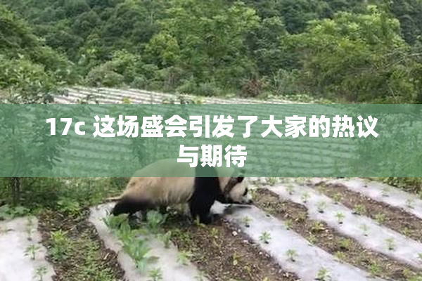 17c 这场盛会引发了大家的热议与期待