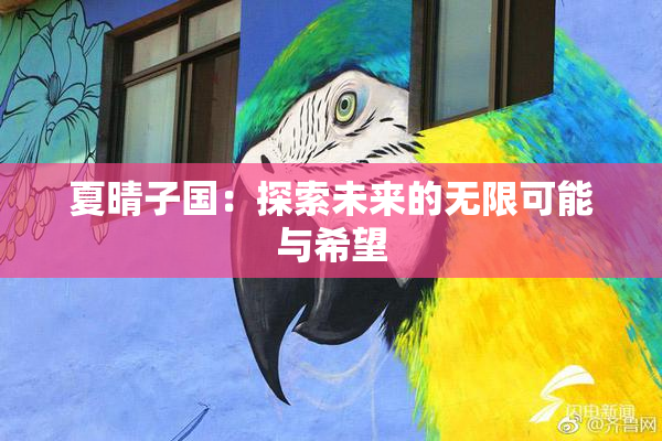 夏晴子国：探索未来的无限可能与希望