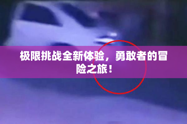 极限挑战全新体验，勇敢者的冒险之旅！