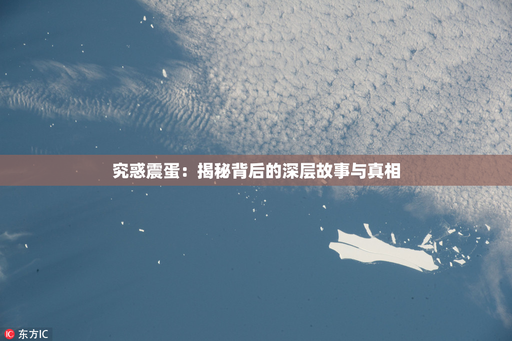 究惑震蛋：揭秘背后的深层故事与真相