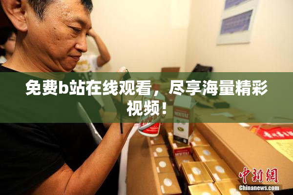 免费b站在线观看，尽享海量精彩视频！