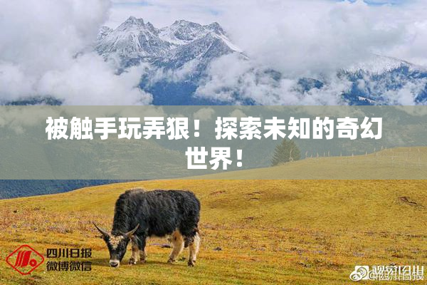 被触手玩弄狠！探索未知的奇幻世界！