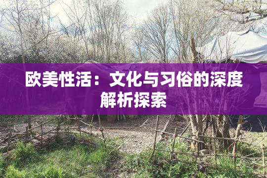欧美性活：文化与习俗的深度解析探索