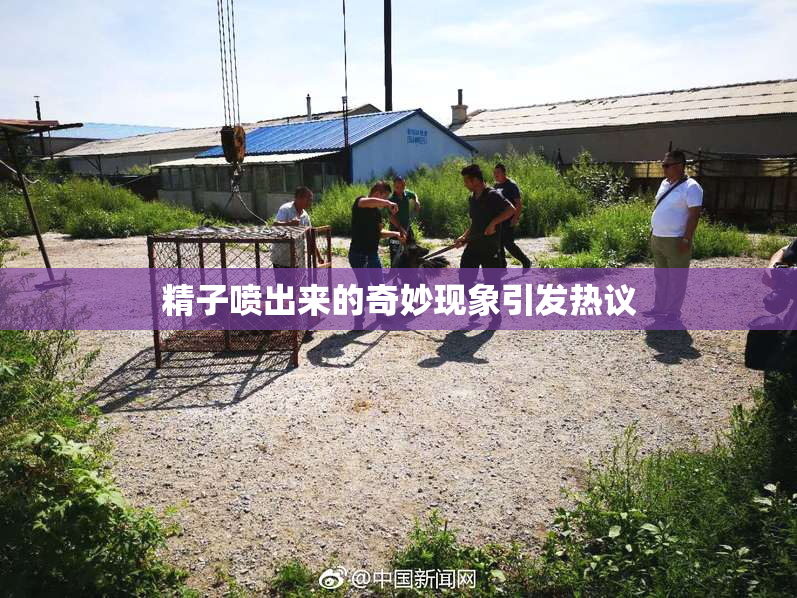 精子喷出来的奇妙现象引发热议