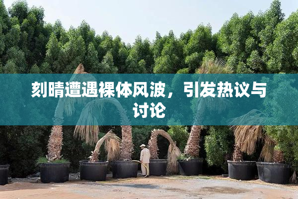 刻晴遭遇裸体风波，引发热议与讨论