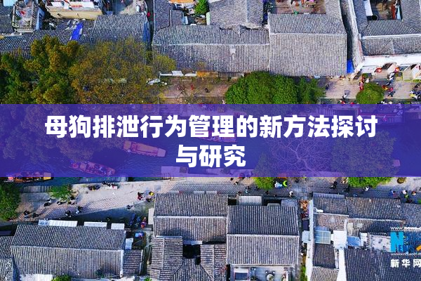 母狗排泄行为管理的新方法探讨与研究