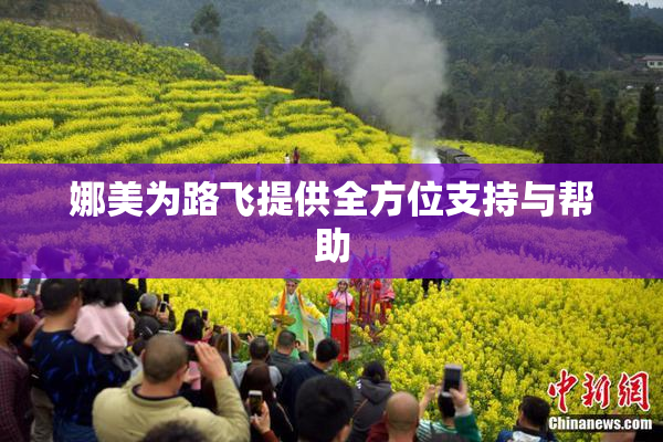 娜美为路飞提供全方位支持与帮助