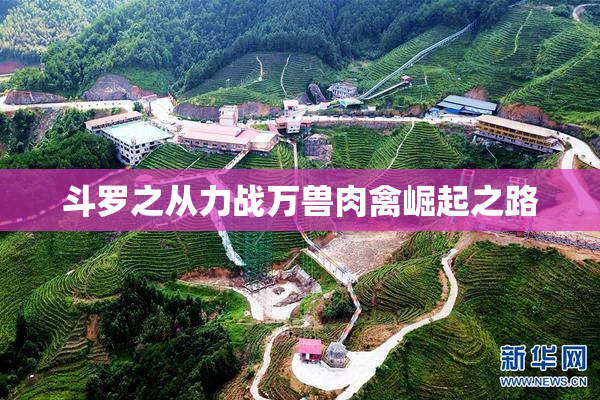 斗罗之从力战万兽肉禽崛起之路
