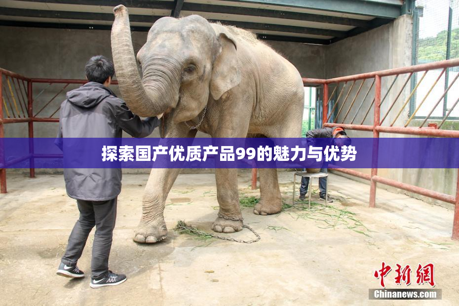 探索国产优质产品99的魅力与优势