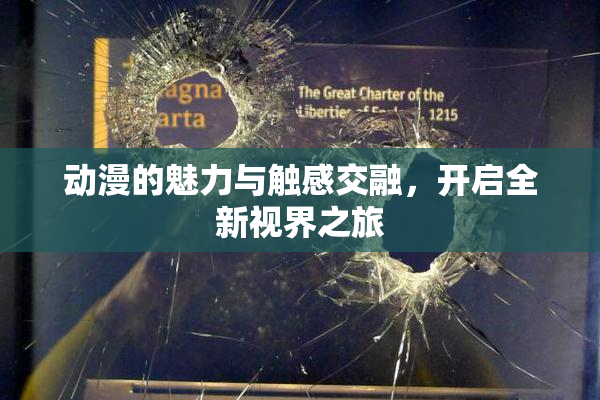 动漫的魅力与触感交融，开启全新视界之旅