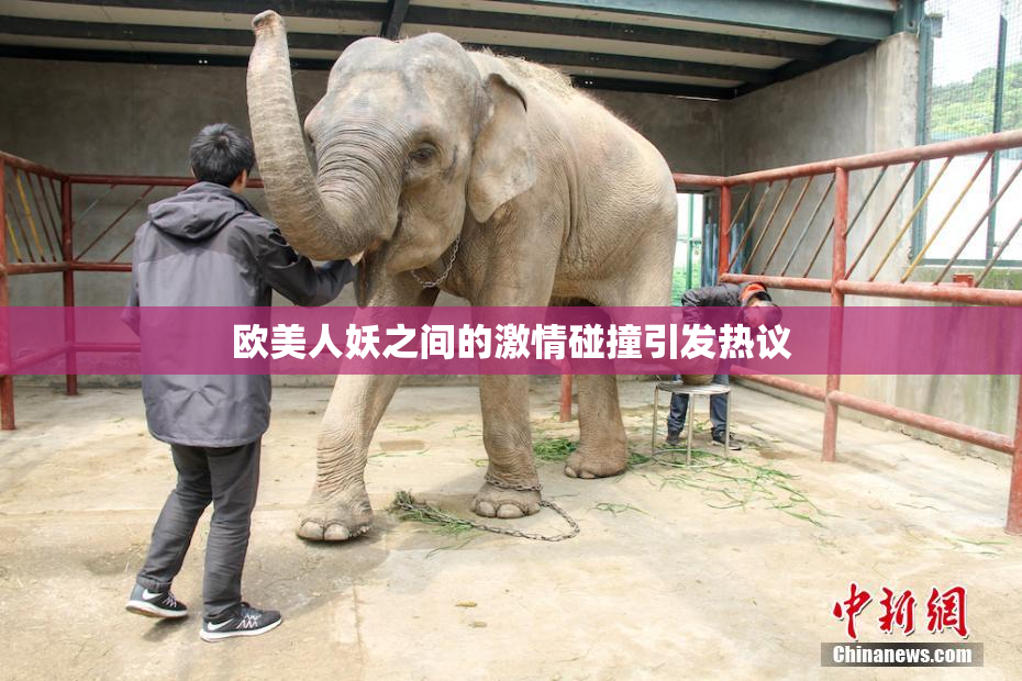 欧美人妖之间的激情碰撞引发热议