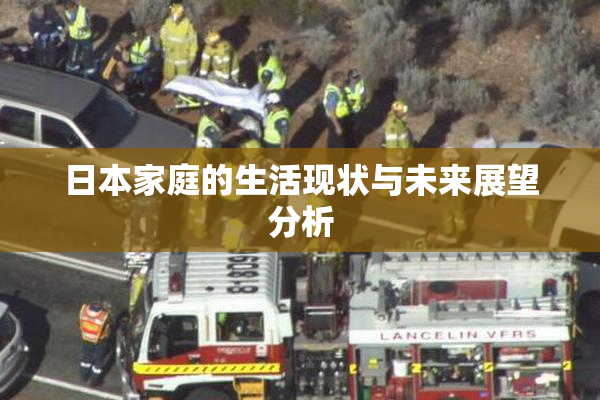 日本家庭的生活现状与未来展望分析