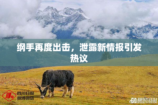 纲手再度出击，泄露新情报引发热议