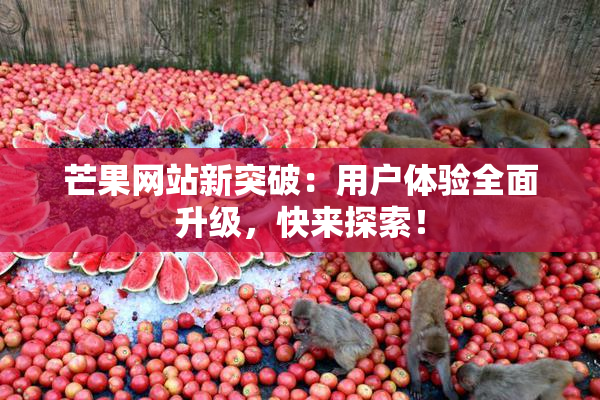 芒果网站新突破：用户体验全面升级，快来探索！