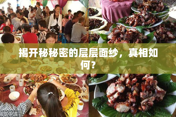 揭开秘秘密的层层面纱，真相如何？