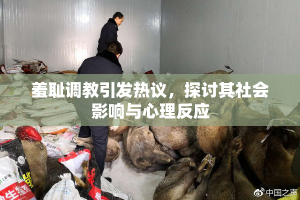 羞耻调教引发热议，探讨其社会影响与心理反应