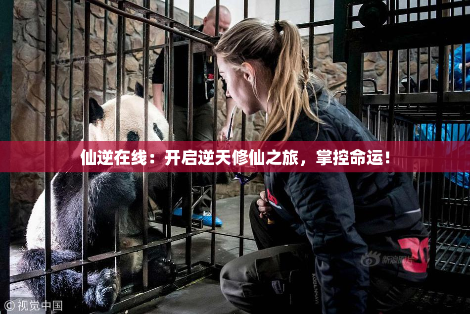 仙逆在线：开启逆天修仙之旅，掌控命运！