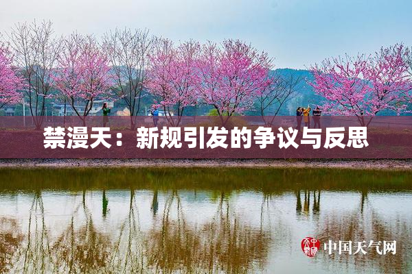 禁漫天：新规引发的争议与反思