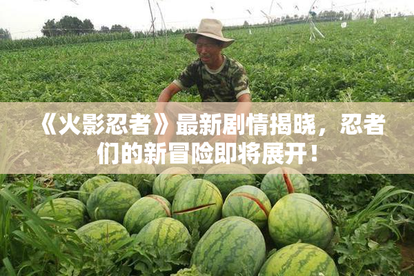 《火影忍者》最新剧情揭晓，忍者们的新冒险即将展开！