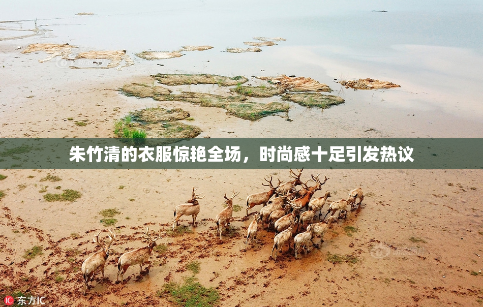 朱竹清的衣服惊艳全场，时尚感十足引发热议