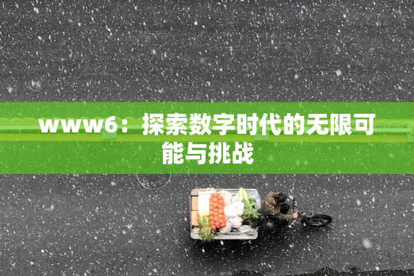 www6：探索数字时代的无限可能与挑战