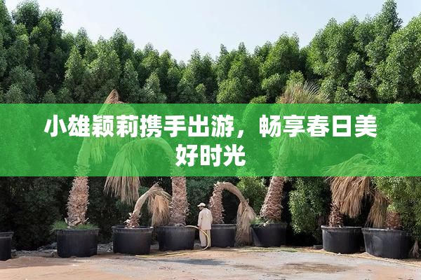 小雄颖莉携手出游，畅享春日美好时光