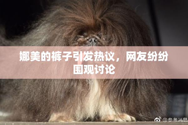 娜美的裤子引发热议，网友纷纷围观讨论