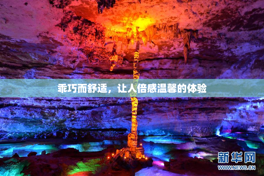 乖巧而舒适，让人倍感温馨的体验