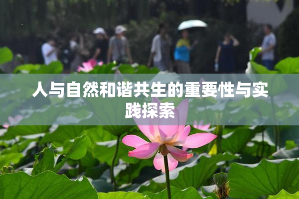 人与自然和谐共生的重要性与实践探索