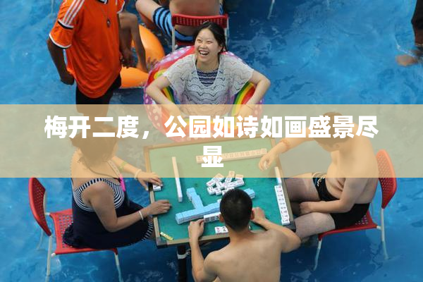 梅开二度，公园如诗如画盛景尽显