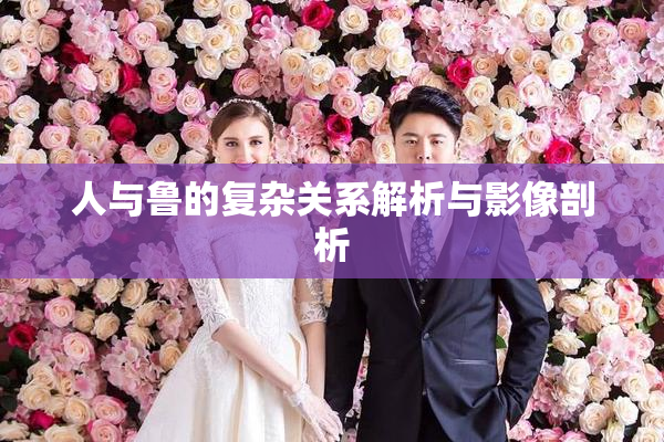 人与鲁的复杂关系解析与影像剖析